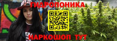 хмурый Лесосибирск