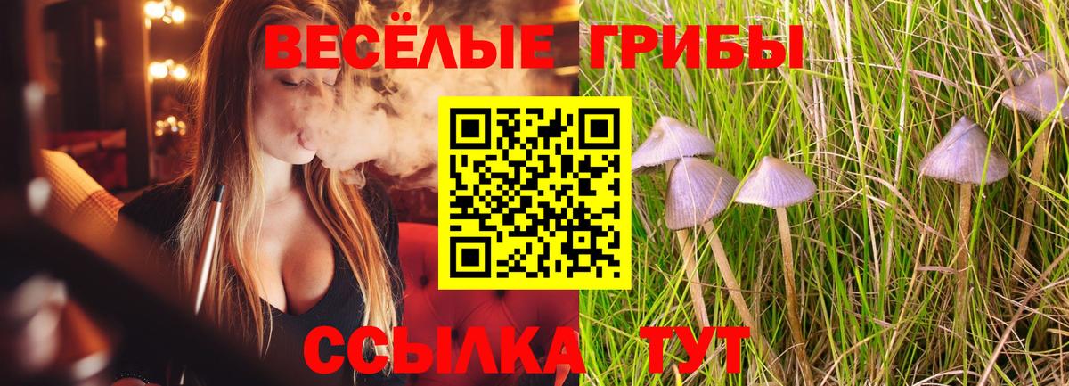 Донской  Псилоцибиновые грибы мухоморы  где можно купить   Псилоцибиновые грибы Psilocybe  Вход с VPN 