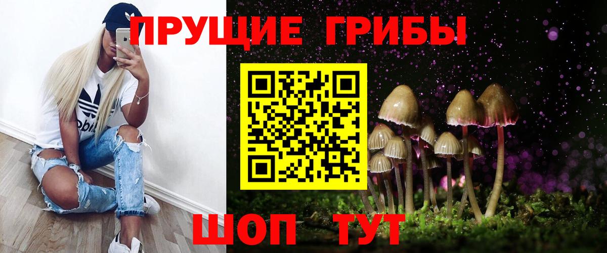 Псилоцибиновые грибы Cubensis Донской